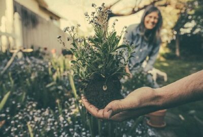 entretien jardin