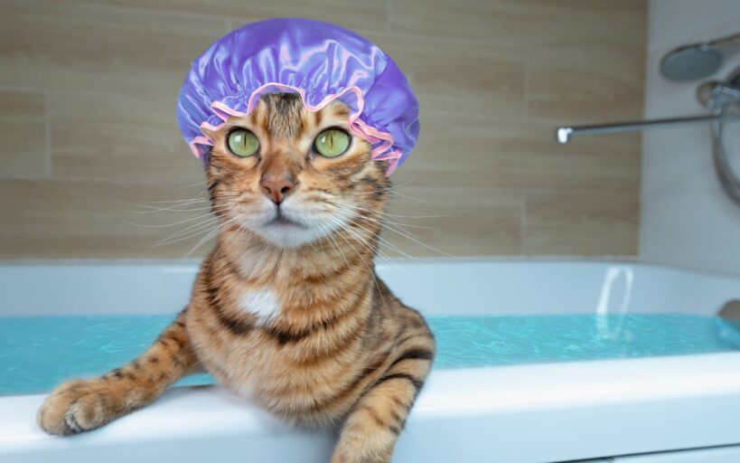 baignoire démodée