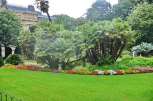 Comment optimiser la protection de votre jardin ?