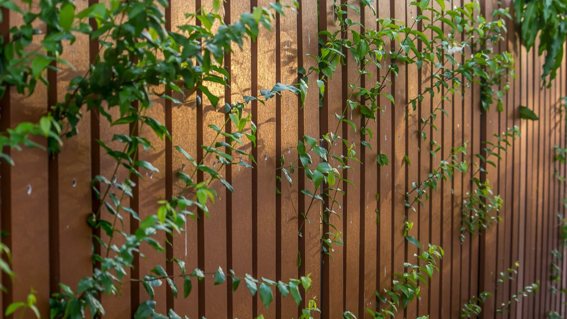 Aménagement extérieur : structurer son jardin avec un brise vue en bois