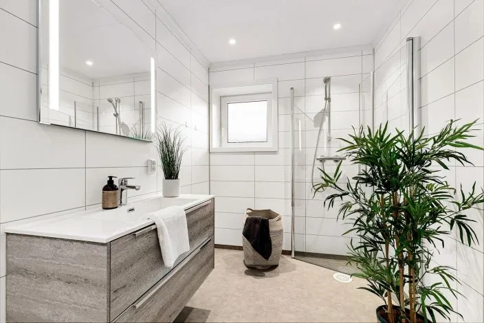 Comment décorer avec de grandes plantes d’intérieur dans un petit espace