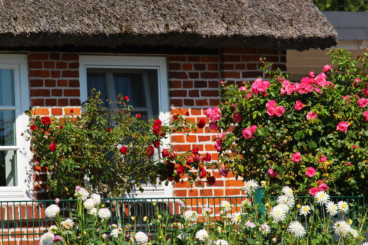 Astuces pour un jardin moderne et fleuri : réinventer l’espace extérieur