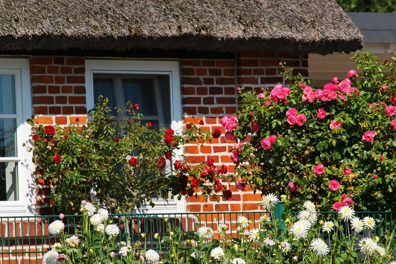 Astuces pour un jardin moderne et fleuri : réinventer l’espace extérieur
