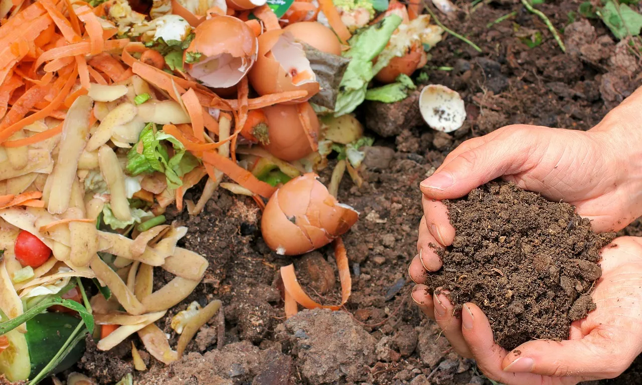 Engrais naturels pour potager : pour une maison plus verte et plus saine