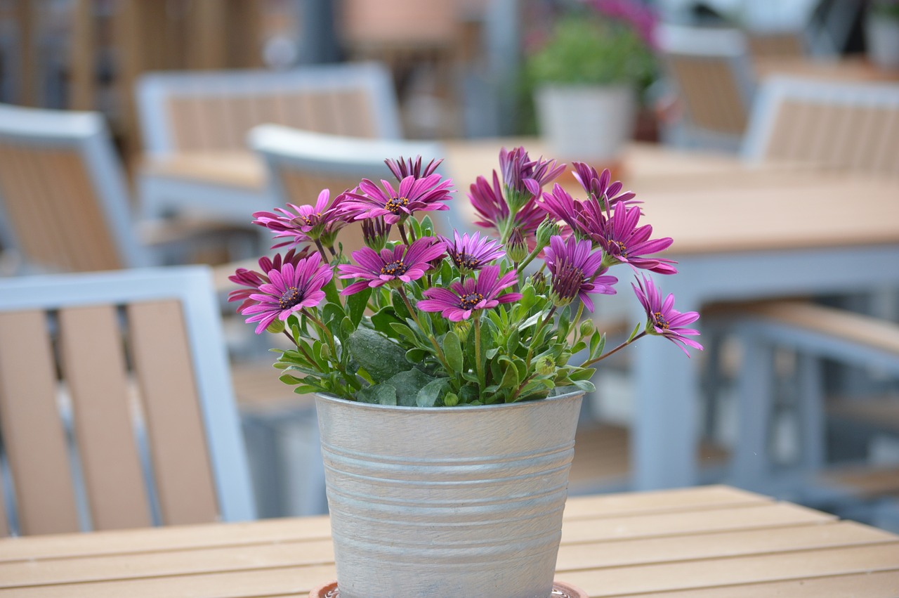 5 astuces incontournables pour un aménagement de terrasse jardin épatant