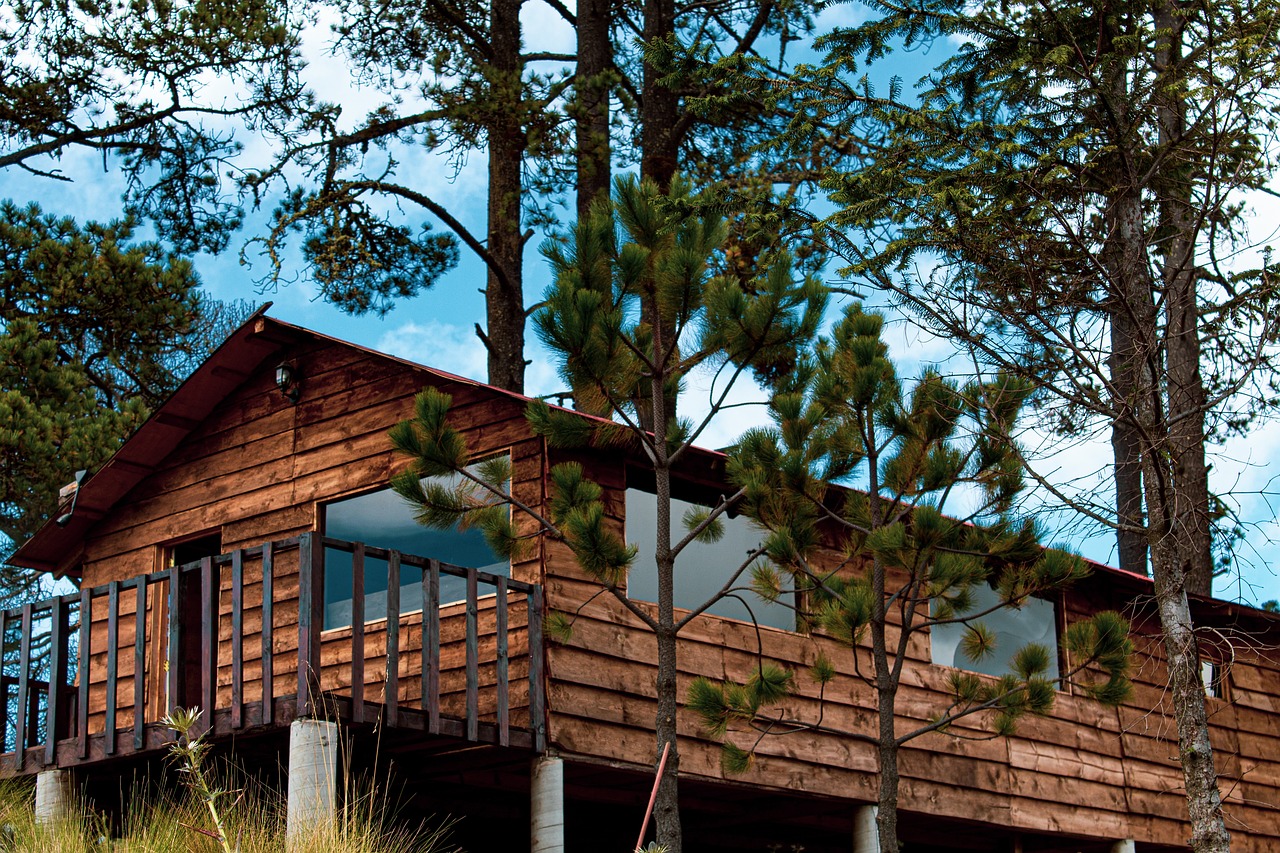 Les atouts d’un chalet en bois : confort, écologie et ambiance chaleureuse