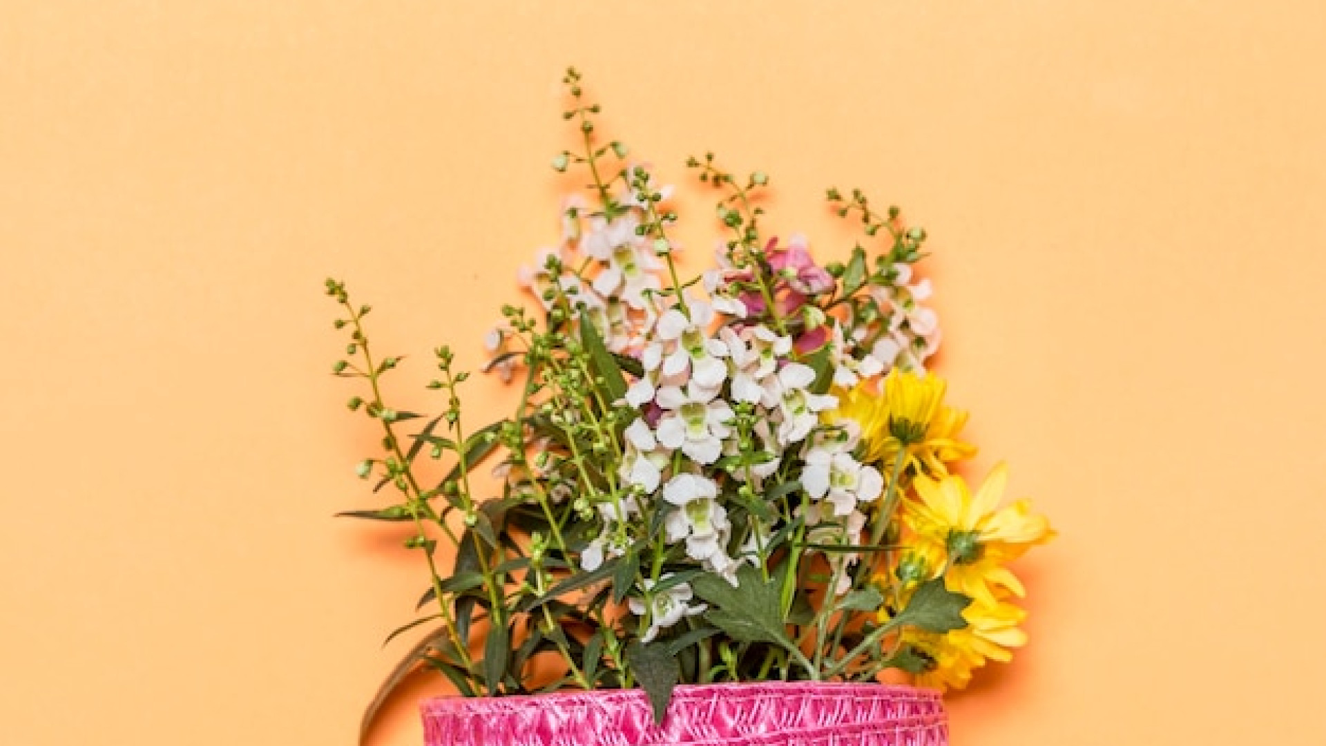 Comment utiliser des contenants souples en toile technique pour cultiver ?