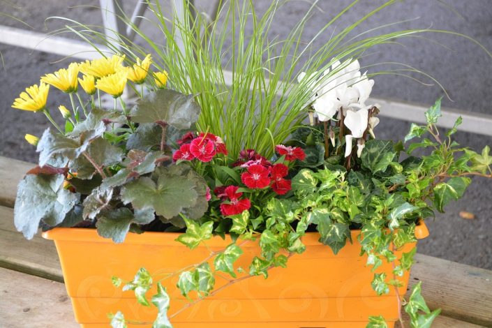 5 étapes faciles pour redonner vie à vos vieux pots, bacs et jardinières