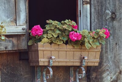 flower-box-4272215_640