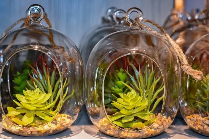 Pourquoi opter pour des plantes artificielles pour créer un mur de plantes ?