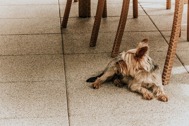 Pourquoi solliciter la pose de résine de sol agroalimentaire et industriel ?