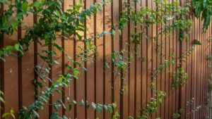 Aménagement extérieur : structurer son jardin avec un brise vue en bois