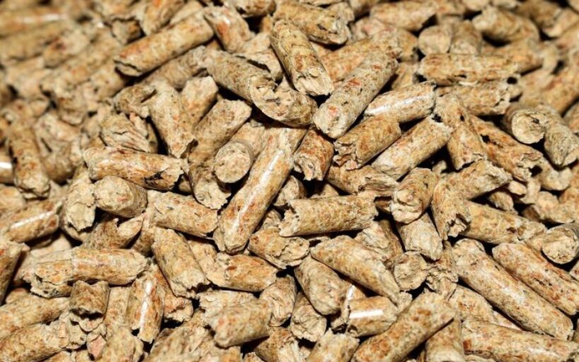 Poêle_à_granulés_de_bois