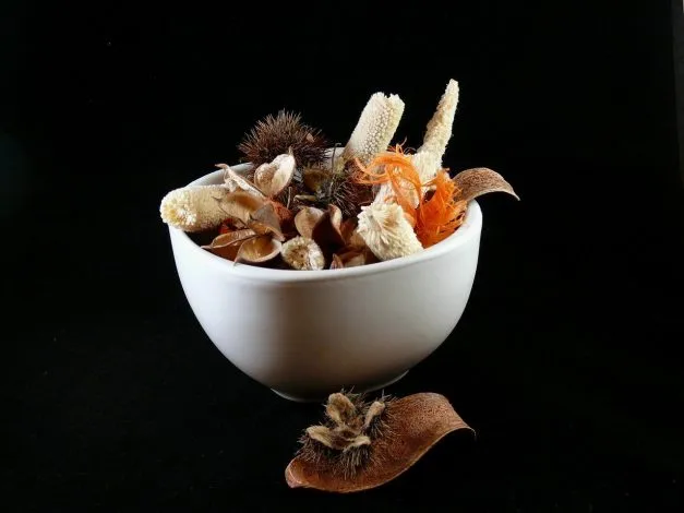 Senteurs d’automne : 4 recettes naturelles pour rafraîchir l’air pour l’automne