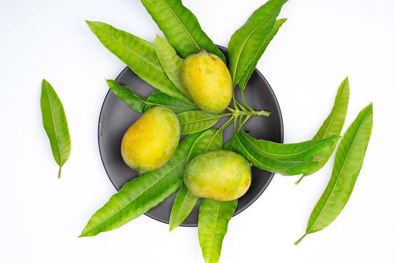 Comment transformer un simple noyau de mangue en un arbre fruitier chez vous ?