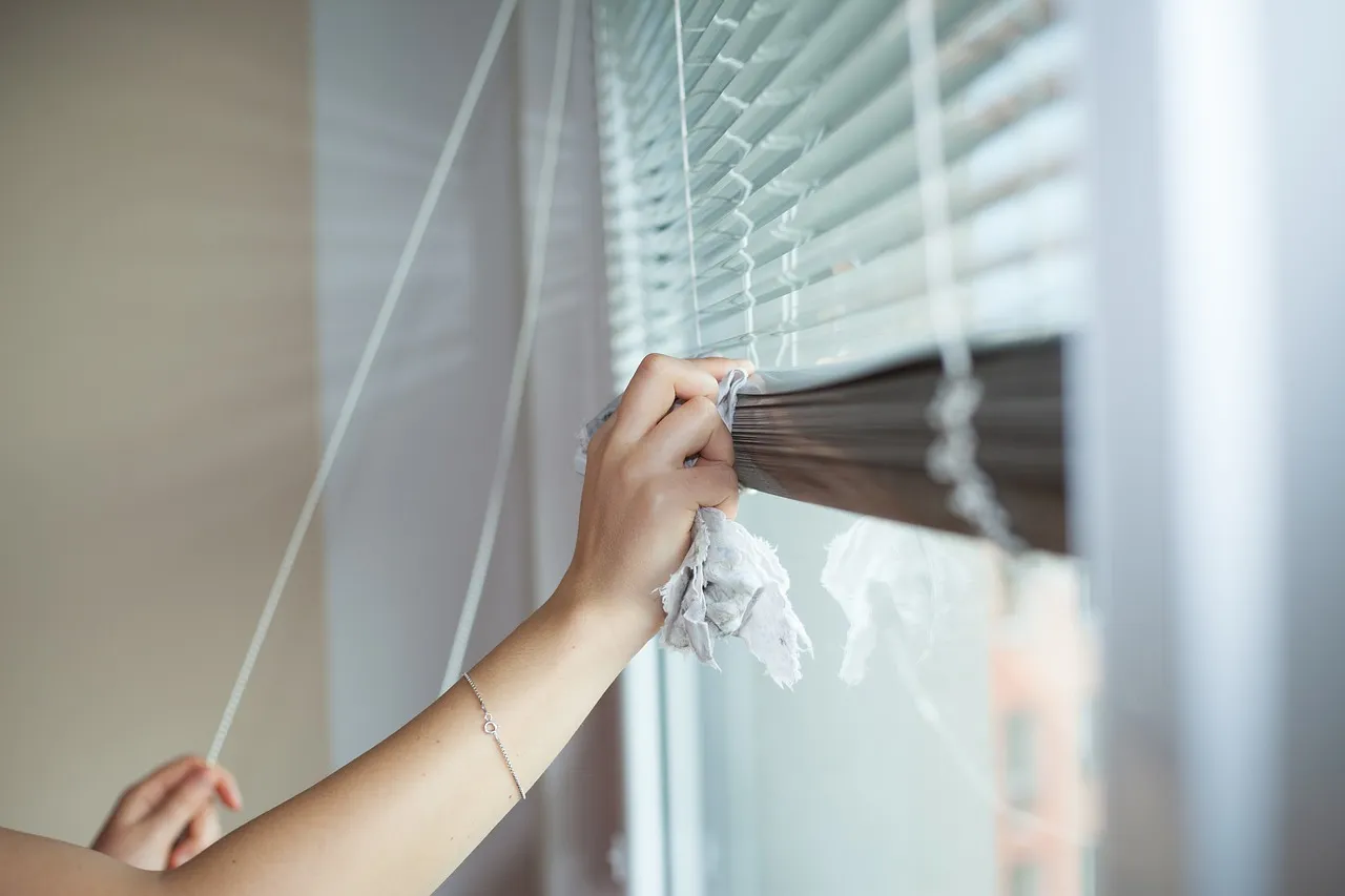 Découvrez les secrets des femmes de ménage à lyon pour un intérieur éclatant !