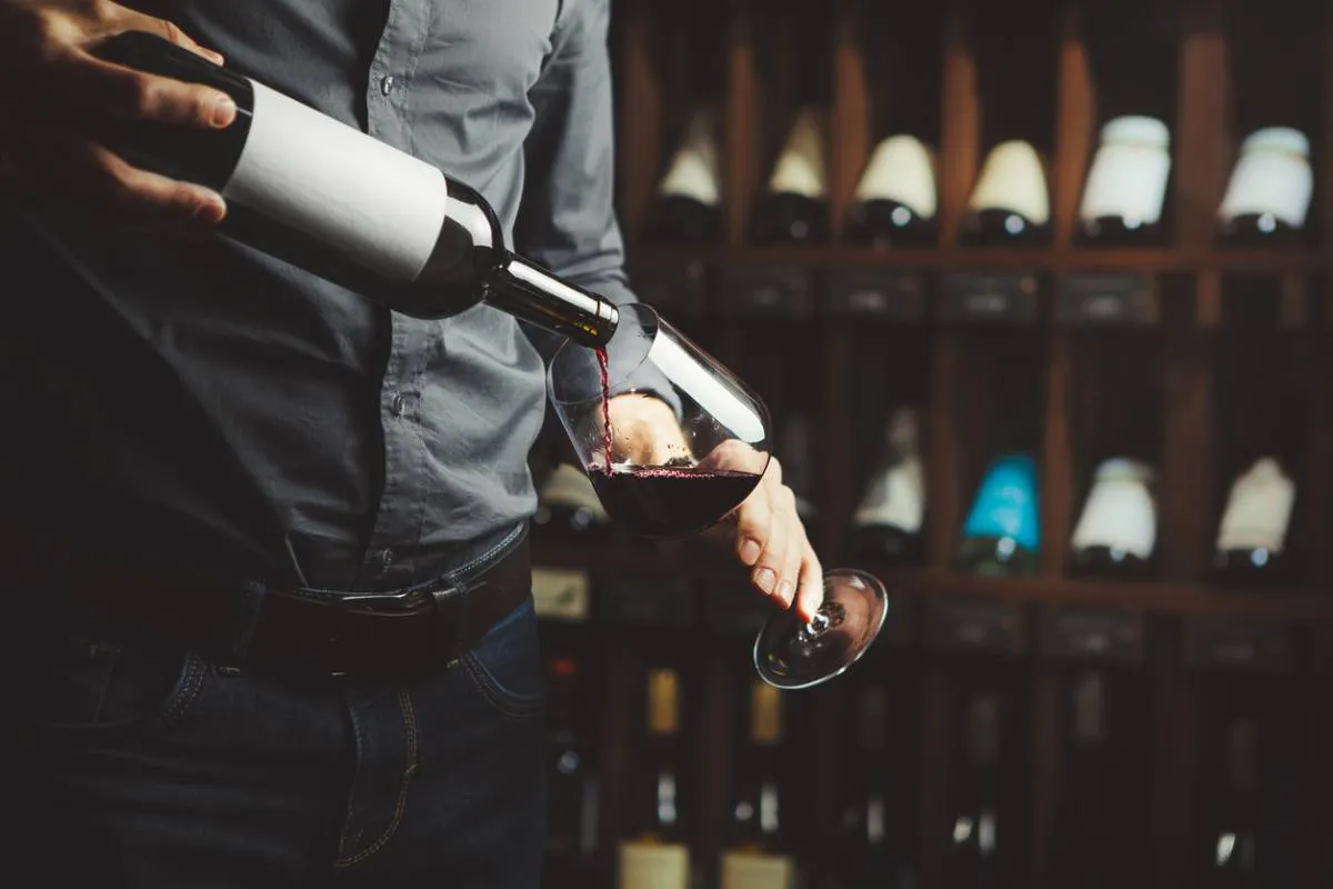 Température, lumière, position : les vrais ennemis de votre vin