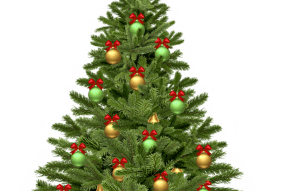 christmas-tree-1808558_640
