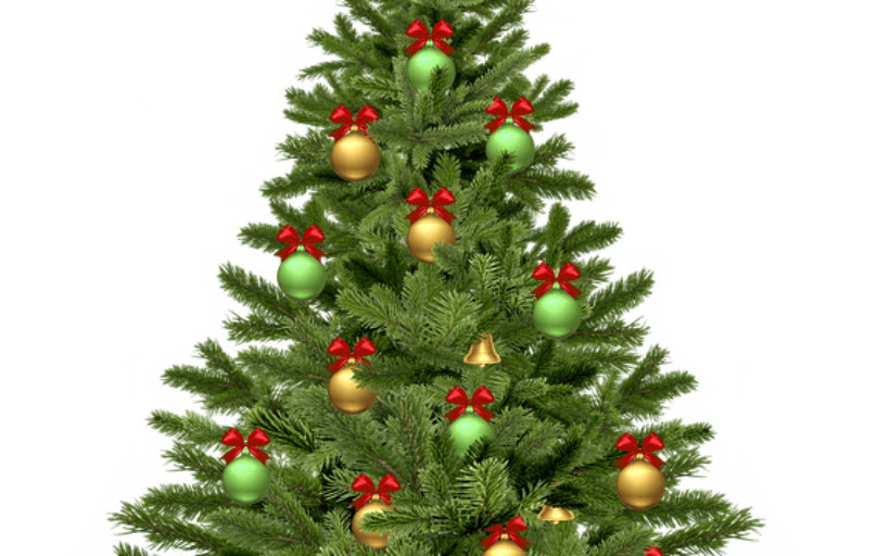 christmas-tree-1808558_640