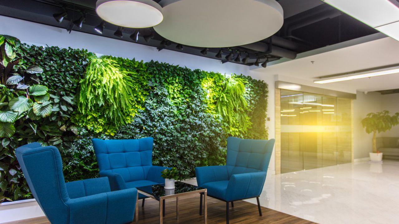 Comment apporter un peu de zen dans votre maison avec le design biophilique 