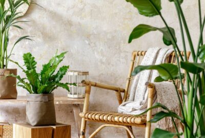 img-introduire-comment-maison.jpg