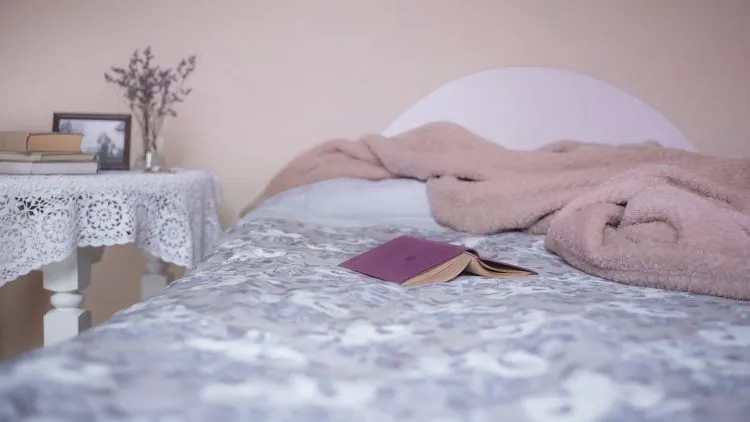 Le locataire doit-il payer un professionnel pour lutter contre les punaises de lit ? 