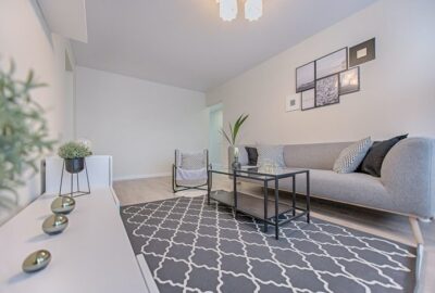 Choisir_le_tapis_parfait_pour_son_salon