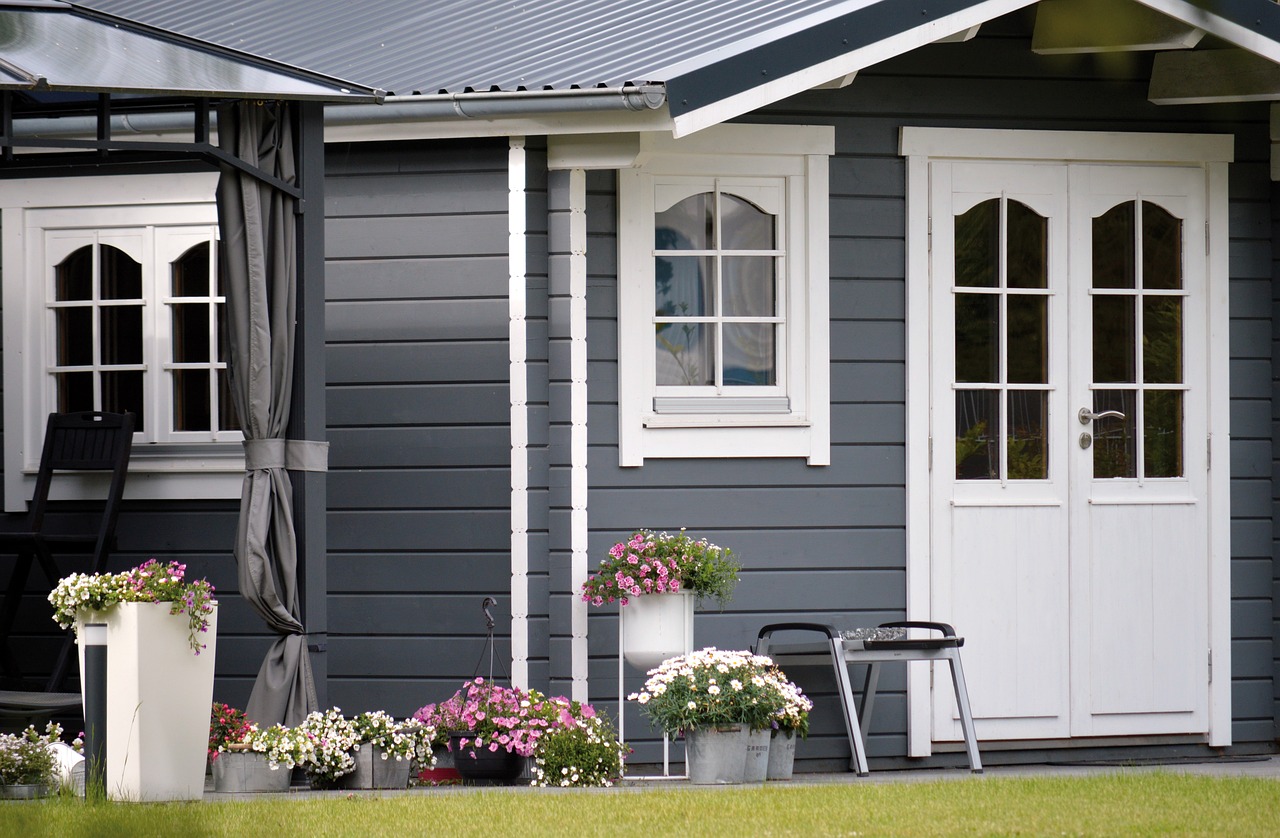 5 raisons pour lesquelles le Choisya ternata est parfait pour votre jardin de maison