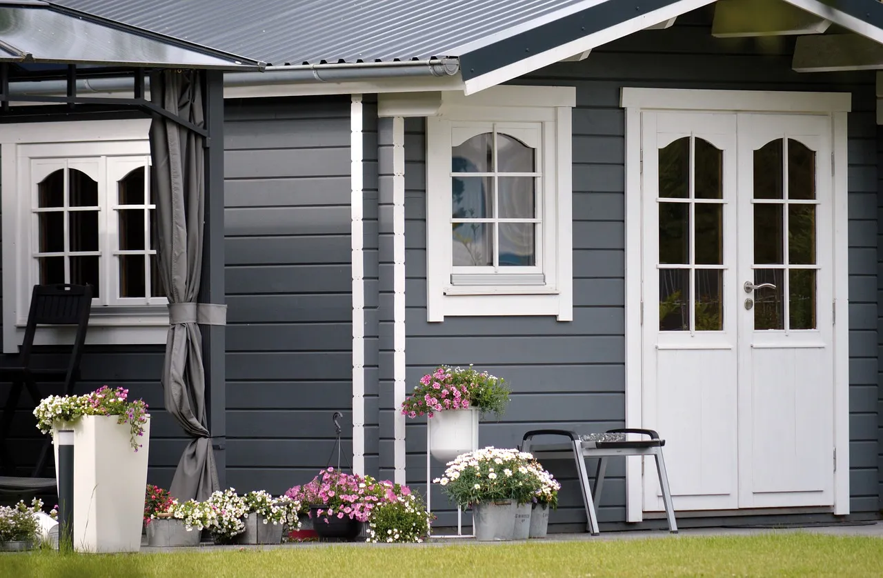 5 raisons pour lesquelles le Choisya ternata est parfait pour votre jardin de maison