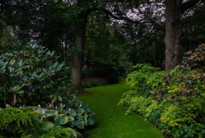 paysagisme-harmonieux-jardin-pour.jpg