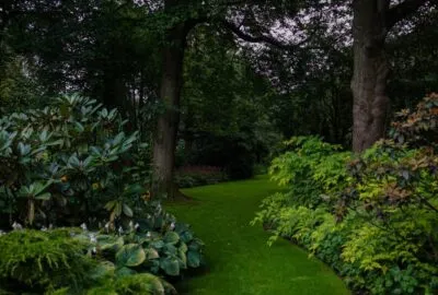paysagisme-harmonieux-jardin-pour.jpg
