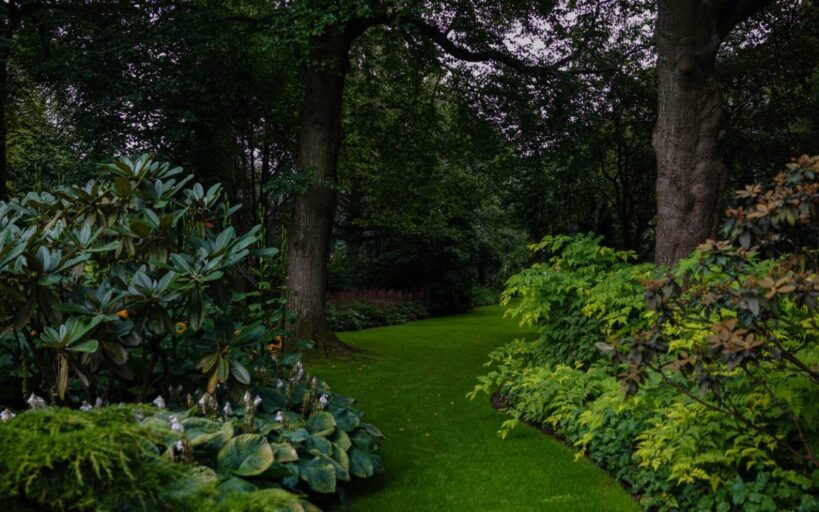 paysagisme-harmonieux-jardin-pour.jpg