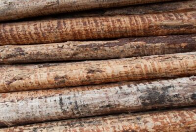 Tout_savoir_sur_le_bardage_Red_Cedar