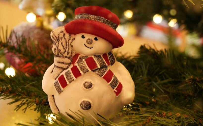 Trouvez_le_sapin_idéal_pour_votre_Noël