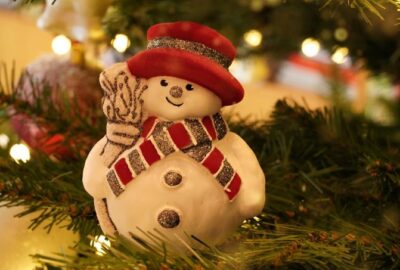 Trouvez_le_sapin_idéal_pour_votre_Noël