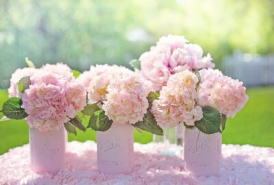 LC_Parler_aux_fleurs,_fleuriste_à_Rousset