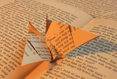 Tutoriel_de_pliage_de_serviette_papillon