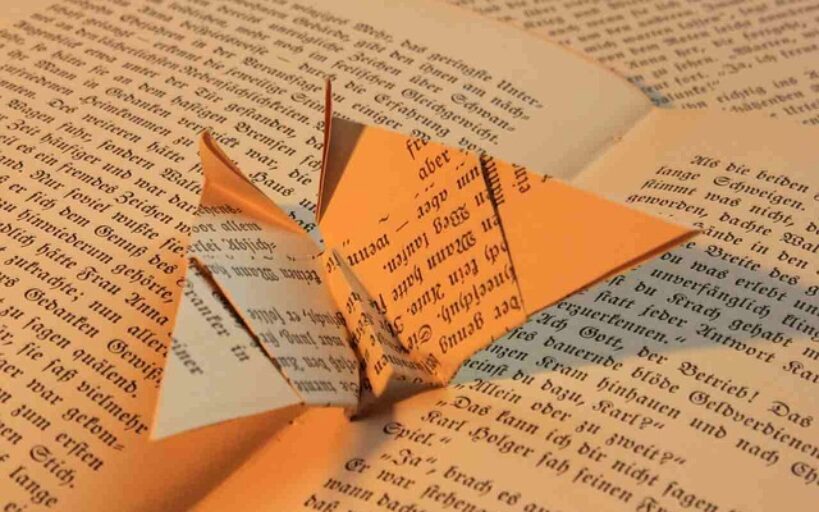Tutoriel_de_pliage_de_serviette_papillon