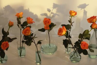 Comment_préserver_la_beauté_de_vos_fleurs