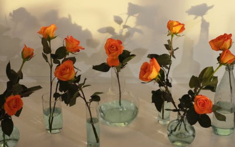 Comment_préserver_la_beauté_de_vos_fleurs