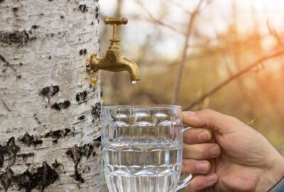 Comment_purifier_l’eau_du_robinet_chez_soi_?