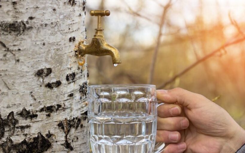 Comment_purifier_l’eau_du_robinet_chez_soi_?