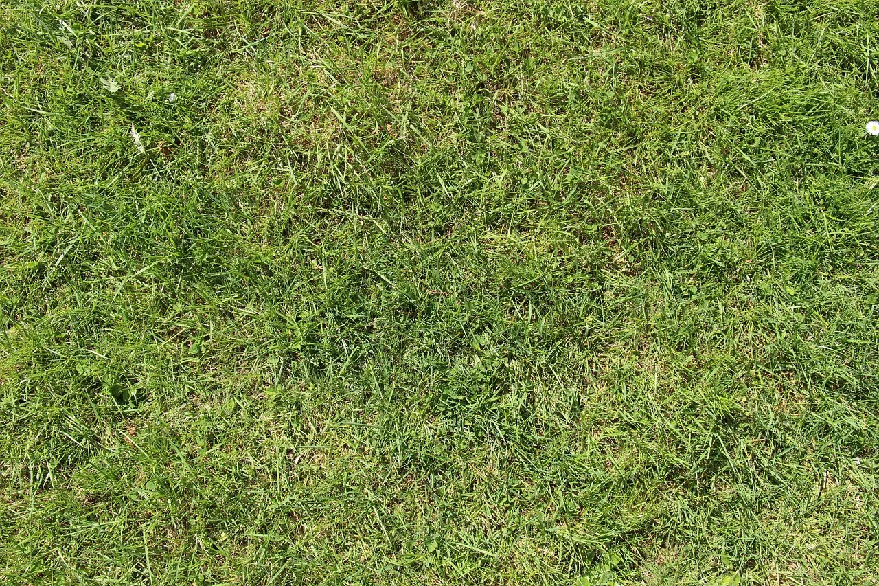 Astuces essentielles pour une utilisation en toute sécurité de votre débroussailleuse à la maison