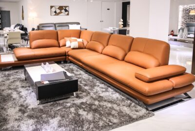 Associer_son_canapé_avec_le_thème_de_son_salon