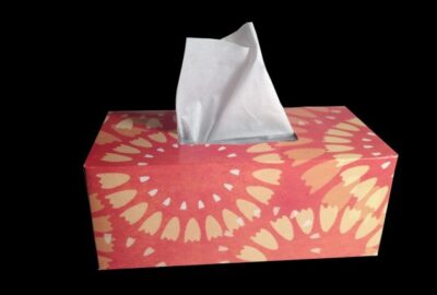Les_conseils_pour_bien_choisir_son_essuie_main