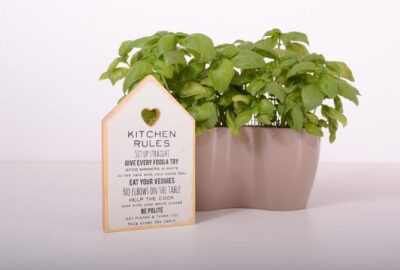 Comment_cultiver_un_jardin_d_herbes_d_intérieur_?