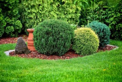 Besoin_d’un_paysagiste_pour_composer_votre_jardin_?
