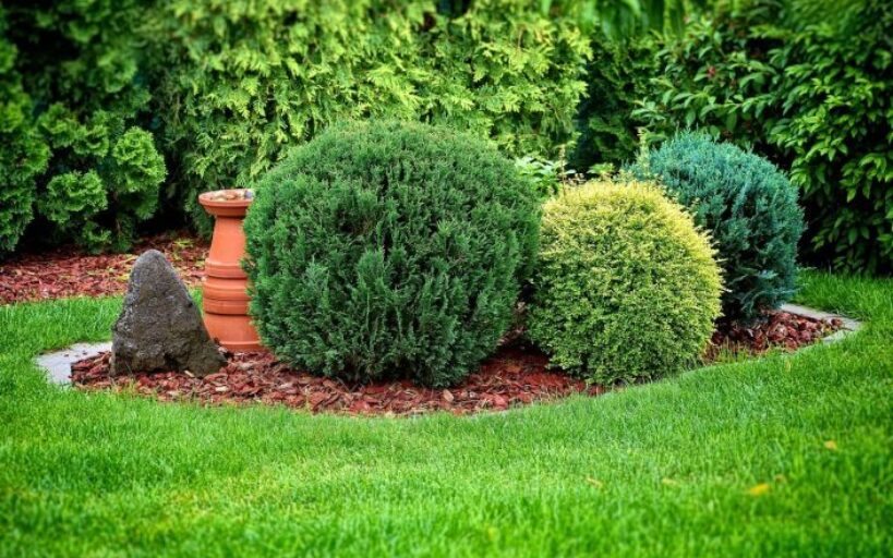 Besoin_d’un_paysagiste_pour_composer_votre_jardin_?