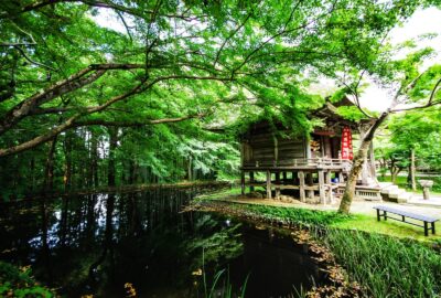 9_bâtiments_naturels_pour_votre_inspiration_en_2021