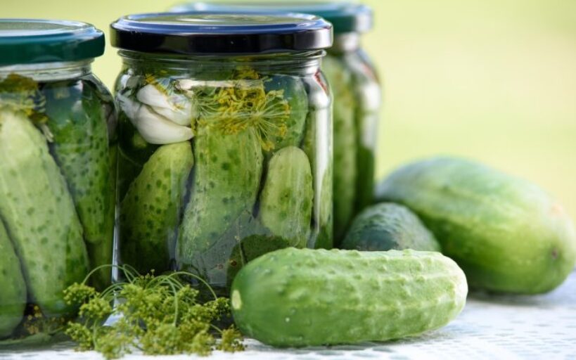 Recette_de_cornichons_marinés_aux_fleurs_de_fenouil
